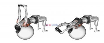 Weighted Pullover (on stability ball)