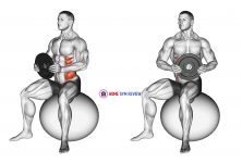 Weighted Seated Twist (on stability ball)