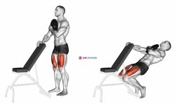 Weighted Sissy Squat