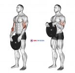 Weighted Standing Curl