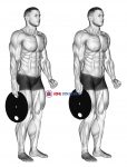 Weighted Standing Hand Squeeze