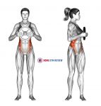 Weighted Standing Twist