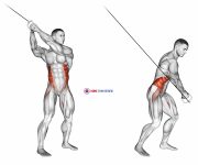 Cable twist (up-down)