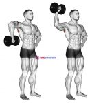 Dumbbell Upright Shoulder External Rotation
