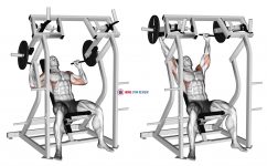 Lever Shoulder Press (plate loaded) version 2