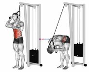 Cable Standing Crunch (with rope attachment)