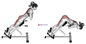 45 degree hyperextension (arms in front of chest)