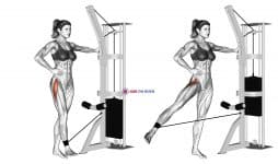 Cable hip abduction (version 2)