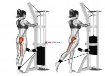 Cable standing hip extension (version 2)