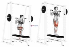 Smith Lateral Step-Up