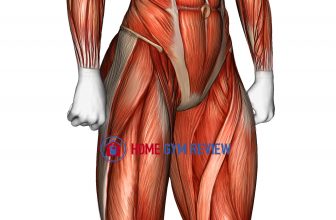 Body muscles. Female. Side view