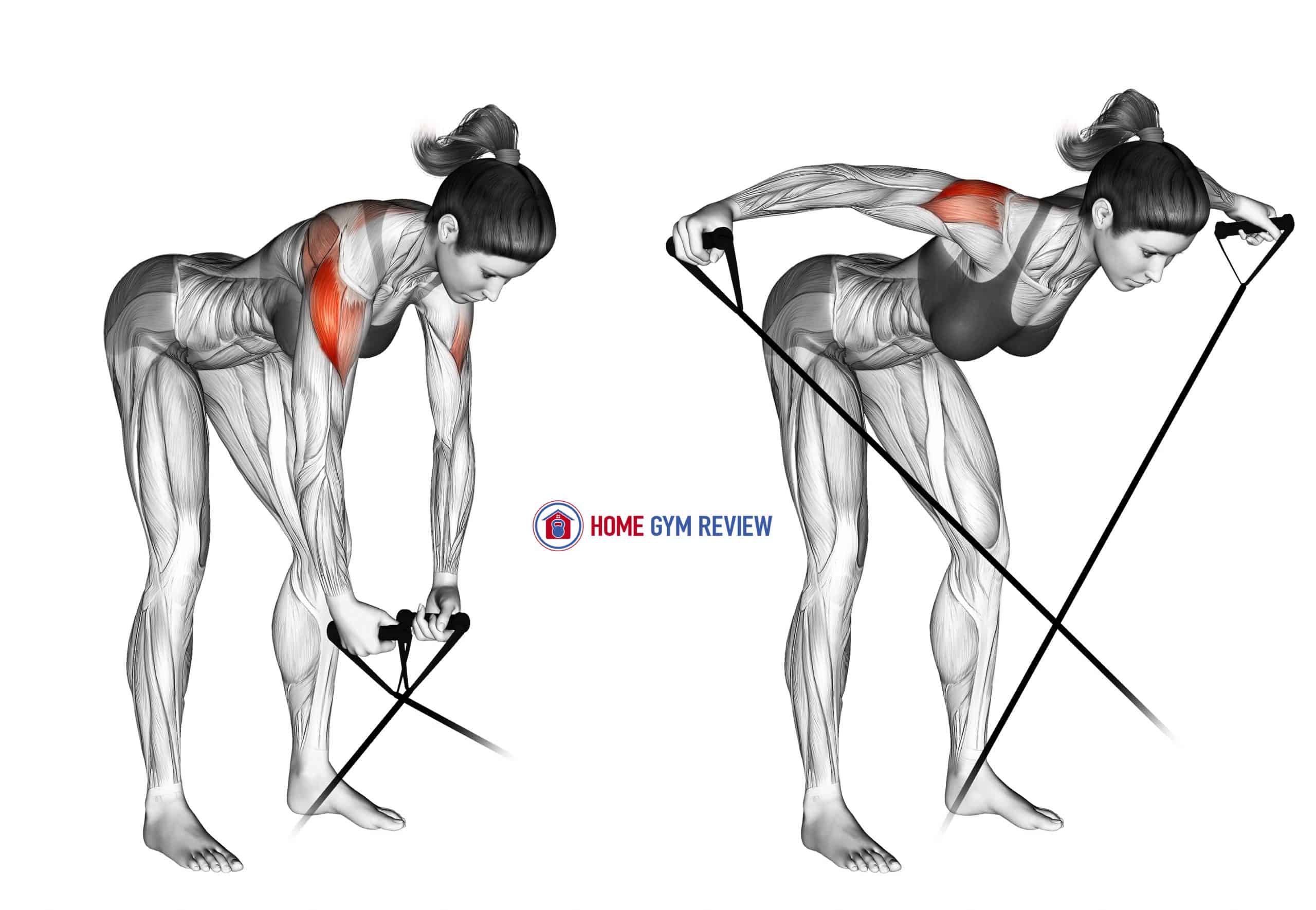 Band bent-over rear lateral raise