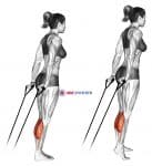Band calf raise