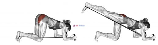 Band kneeling rear kick