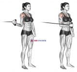 Band standing internal shoulder rotation