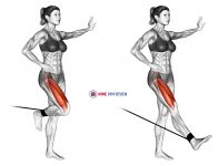 Band standing leg extension