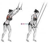 Band straight-arm pulldown