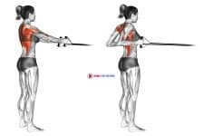 Band straight-back standing row