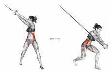 Band twist (up-down)