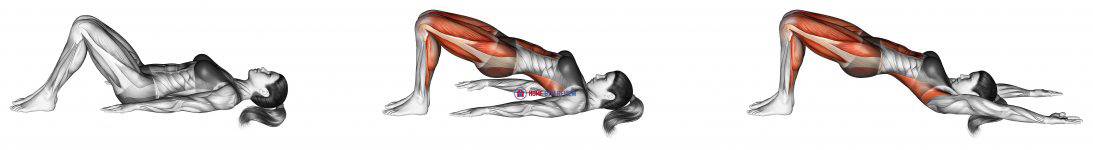 Bridge Pose Setu Bandhasana