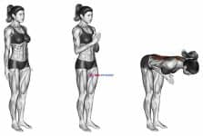 Chair Pose II Utkatasana II