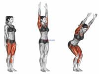 Chair Pose I Utkatasana I