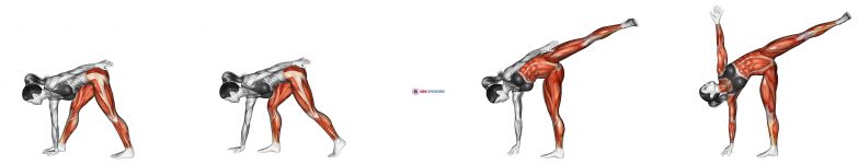 Half Moon Pose Ardha Chandrasana