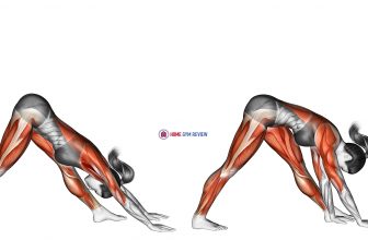 Triangle Pose Trikonasana