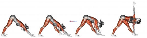 Triangle Pose Trikonasana