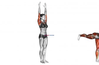 Warrior Pose II Virabhadrasana II