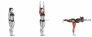 Warrior Pose II Virabhadrasana II