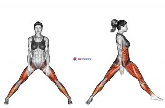 Warrior Pose I Virabhadrasana I