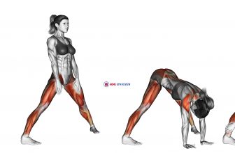 Wide legged Forward Bend Prasarita Padottanasana