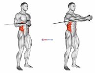 Band horizontal Pallof Press