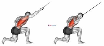 Band kneeling one arm pulldown