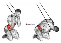 Band Kneeling Twisting Crunch