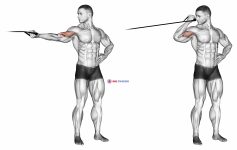 Band one arm overhead biceps cur