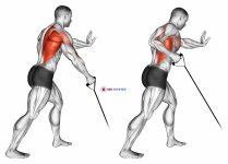 Band one arm Standing Low Row