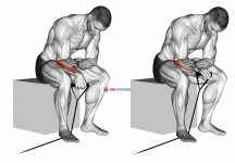 Band reverse wrist curl