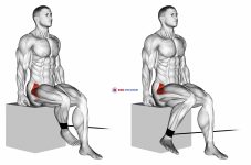 Band Seated Hip Internal Rotation