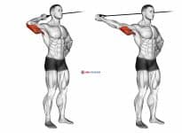 Band side triceps extension