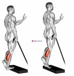 Band single leg calf raise