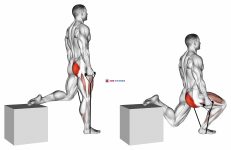 Band single leg split squat