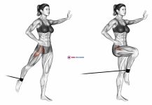 Band Standing Leg Raise