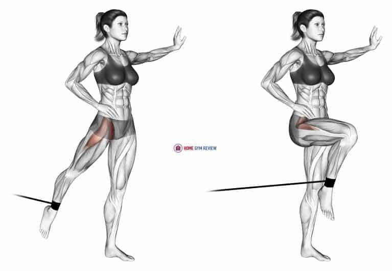 Band Standing Leg Raise - Home Gym Review