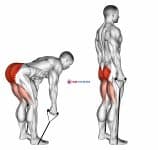Band straight back stiff leg deadlift