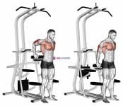 Assisted Standing Triceps Dip