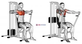 Lever Parallel Chest Press