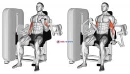 Lever Alternate Biceps Curl