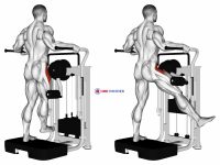 Lever Side Hip Abduction